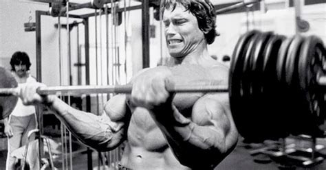 Arnold Schwarzenegger Biceps Now