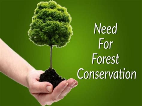 Forest Conservation | Kids Adda