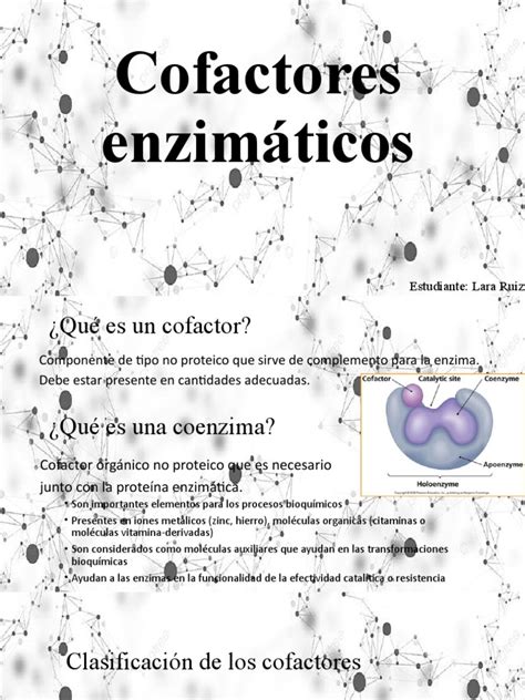 Cofactores Enzimáticos Pdf Enzima Nicotinamida Adenina Dinucleótida