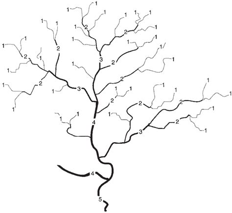 Structure of tributaries in a watershed, indicating numbering of stream... | Download Scientific ...