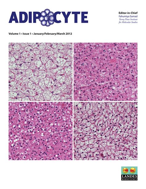 Full Article Brown Adipose Tissue