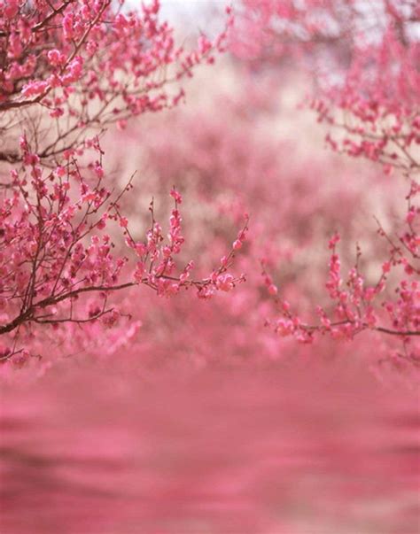 Abphoto Polyester X Ft Pink Flowers Tree Photography Backdrops Photo