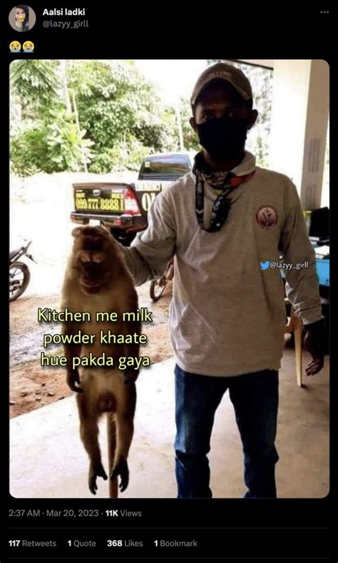 Pakda Gya / Guy Holding Monkey | Know Your Meme