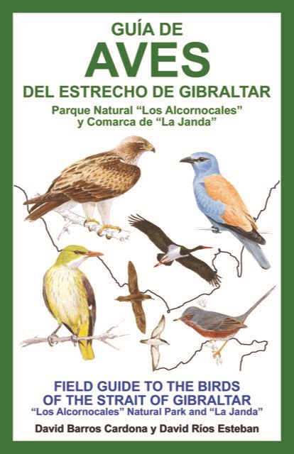 SEO BirdLife y Ornitour celebran el Día de las Aves con dos sugerencias