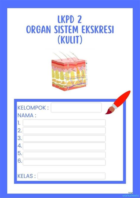 LKPD 2 - ORGAN SISTEM EKSKRESI (KULIT).pdf 1. Interactive worksheet | TopWorksheets