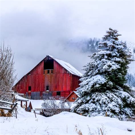 Red winter barn landscape acrylic painting tutorial step by step ...