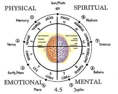 Solar Numerology Chart A Visual Reference Of Charts Chart Master