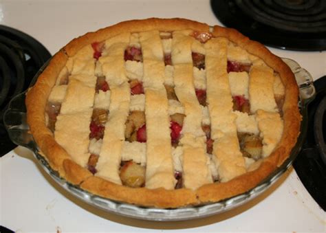 Pie Mania: Blackberry Rhubarb and Raspberry Rhubarb Pie | Sliver of Ice