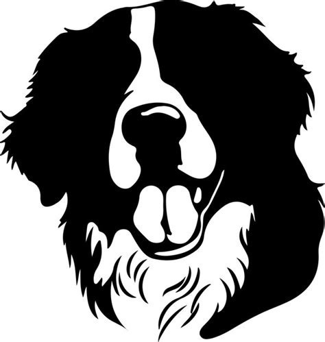 Premium Vector Bernese Mountain Dog Black Silhouette With Transparent