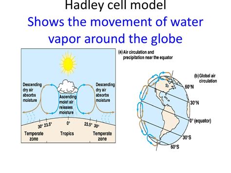 Ecology Introduction 61 Part 1 Ppt Download