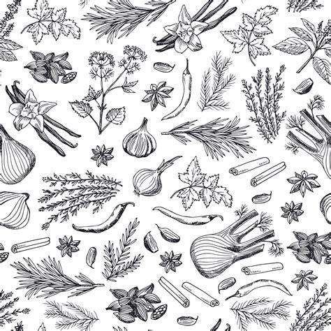 Premium Vector Hand Drawn Herbs And Spices Background Or Pattern