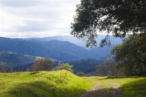 Calero County Park