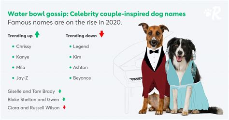 Top 100 Most Popular Dog Names in 2020 | Rover.com