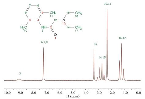 An Introduction To NMR On Lidocaine Molecules