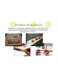 Pruebas Bioqu Micas Unam Pruebas Bioqu Micas Unam Pdf Pdf Pro