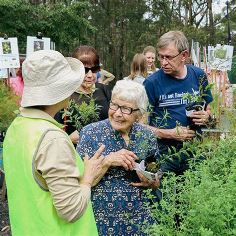 Hornsby Shire Council S Native Plant Giveaway Program Blooms Again