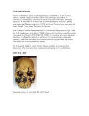 The Evolutionary Mystery of Homo Rudolfensis Fossils | Course Hero