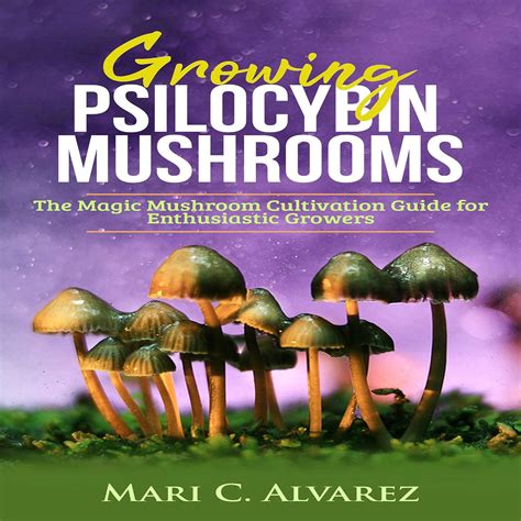 Detailed Guide Explaining How Buying Shrooms Amazon Works - RYZE Superfoods