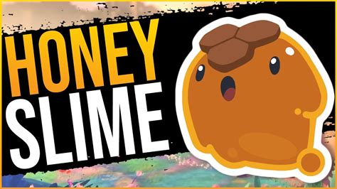 How To Get HONEY SLIMES In Slime Rancher 2 YouTube