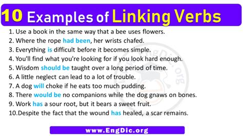 10 Examples Of Linking Verbs In Sentences Engdic