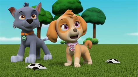 Pups Save A Trophy Trivia Paw Patrol Wiki Fandom