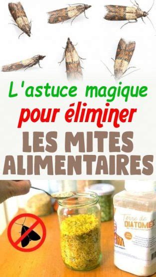 Lastuce magique pour éliminer les mites alimentaires Quand on est