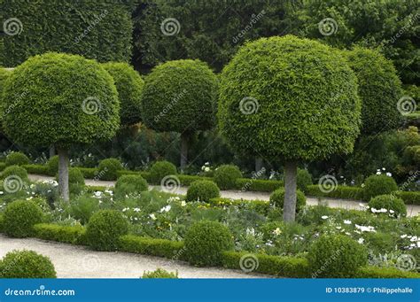 French Formal Garden Royalty Free Stock Images - Image: 10383879