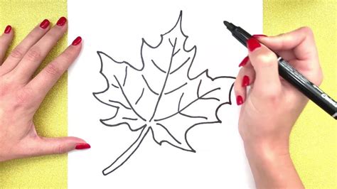 Leaf Drawing: How to Draw A Leaf 🍁 |SIMPLE| Step by step drawing ...