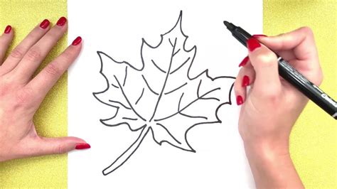 Leaf Drawing How To Draw A Leaf 🍁 Simple Step By Step Drawing Super Thanksgiving