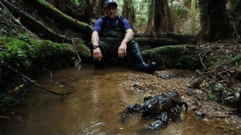 The Giant Tasmanian Crayfish | ALL PHOTOZ