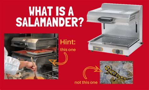 Salamander Kitchen Equipment | Wow Blog