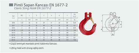 Pimli Sapan Kancası Grade 80 Çelsan Çelik Halat San ve AŞ