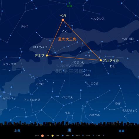 夏の星座の種類の検索結果 Yahoo きっず検索