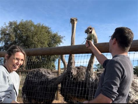 Guided Tour (Up to 5 people) - The San Diego Animal Sanctuary and Farm™