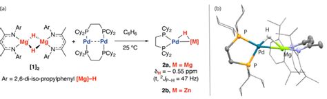 Scheme 1 A Synthesis Of 2a And B Molecular Structure Of 2a From Download Scientific