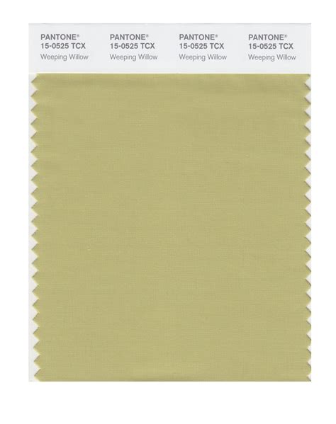 Buy Pantone Smart X Color Swatch Card Weeping Willow Online At Hot