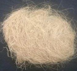 Coir Fibre White Coir Fiber Manufacturer From Surat