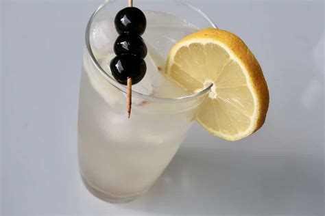 Classic Gin John Collins Drink Cocktail Recipe Dobbernationloves