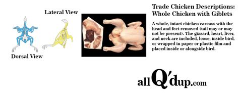 Trade Descriptions And Diagrams For Chicken Whole Chicken All Qd Up