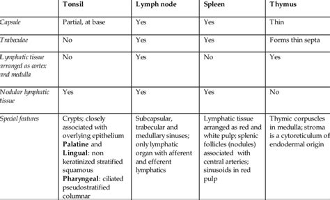 Key Histologic Features Of Lymphatic Organs Download Table