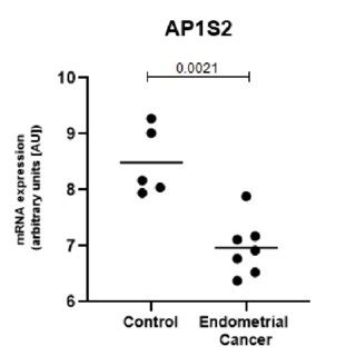 AP1S1 Is Expressed At Significantly Lower Levels In The Endometrial