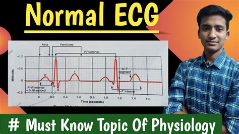 Normal Ecg Cvs Physiology In Hindi Ashish Agrawal Youtube