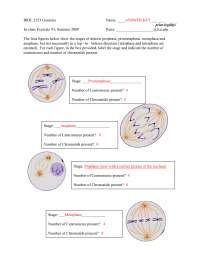 Exercise With Answer Key Principles Of Genetics Biol Docsity