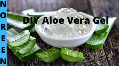 Diy Aloe Vera Gel Youtube