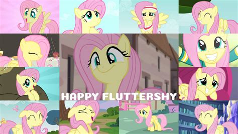 Request Happy Fluttershy By Quoterific On Deviantart