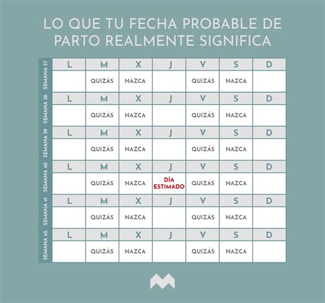 Cómo se calcula tu fecha probable de parto O site perfeito para