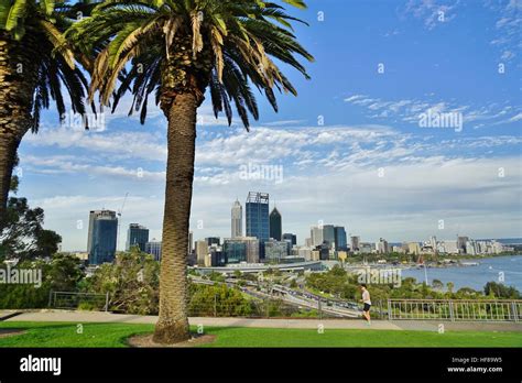 Kings Park A Large Park In The City Of Perth Is Home To The Western