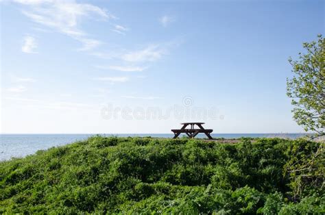 Banco E Tabela No Beira Mar Imagem De Stock Imagem De Grama Frente