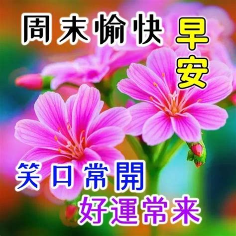 2023年6月17日周六早上好，早安周末创意 知乎