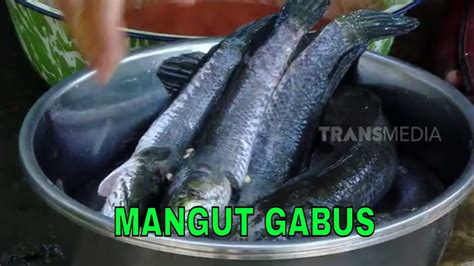 Mangut Gabus Jejak Si Gundul Youtube